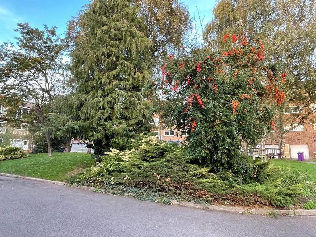 Cosy Bedroom With Private Bathroom Ensuite In Canary Wharf E14 Only 1 Stop To Excel And O2 For Short Or Long Let In Canary Wharf, Less Than An Hour From Heathrow, Stansted And Gatwick Airport Gasthof London
